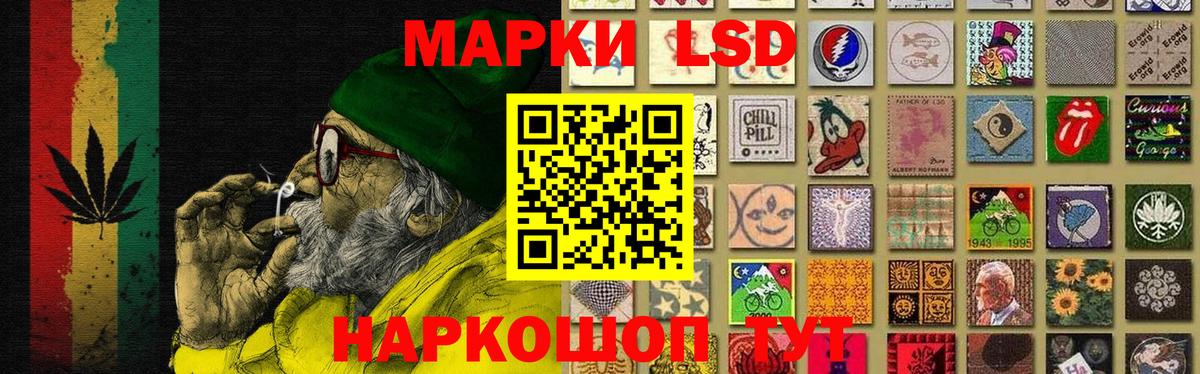 Новозыбков  hydra   Вход с VPN  LSD-25 экстази кислота 